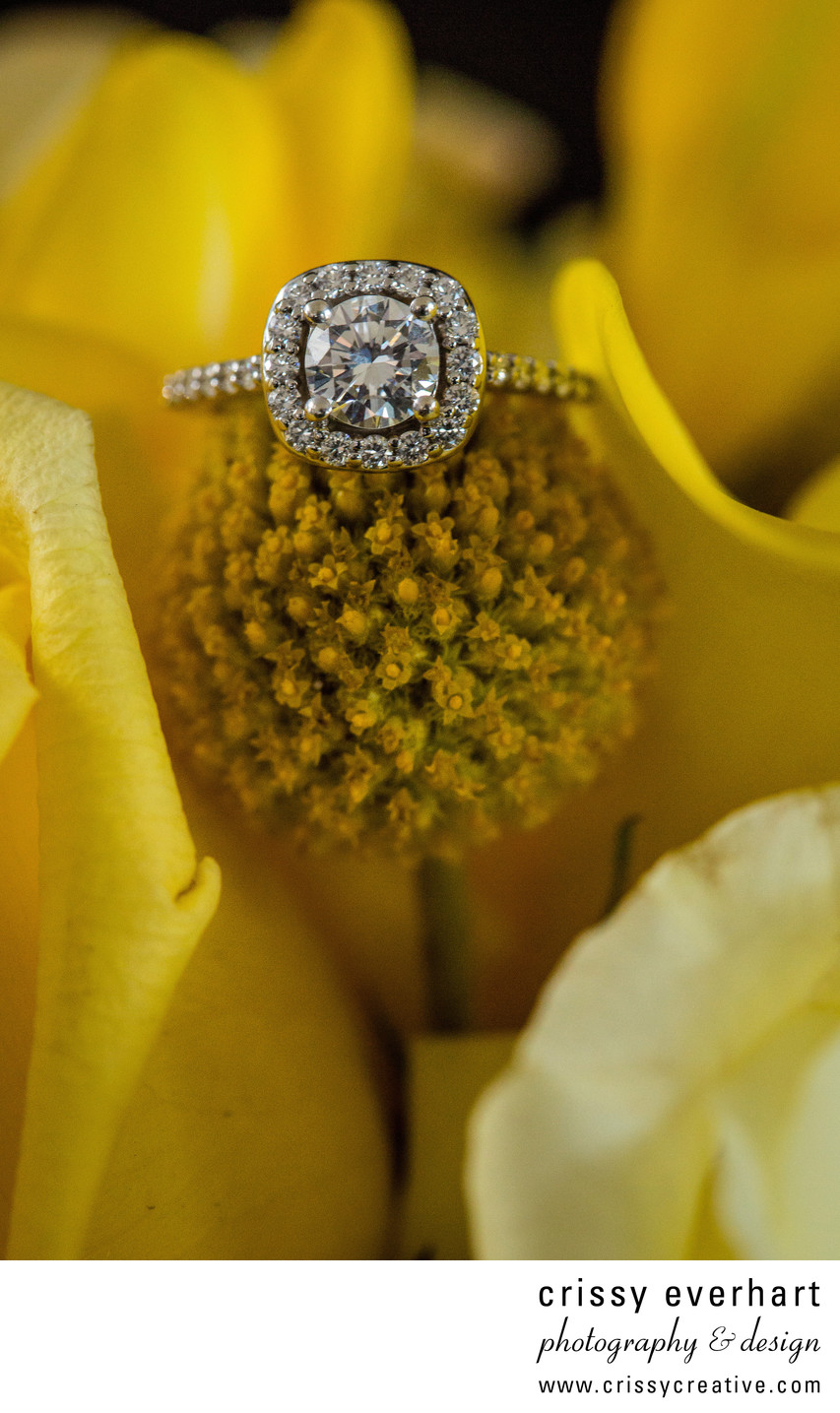 Philadelphia Wedding Photography - Engagement Ring