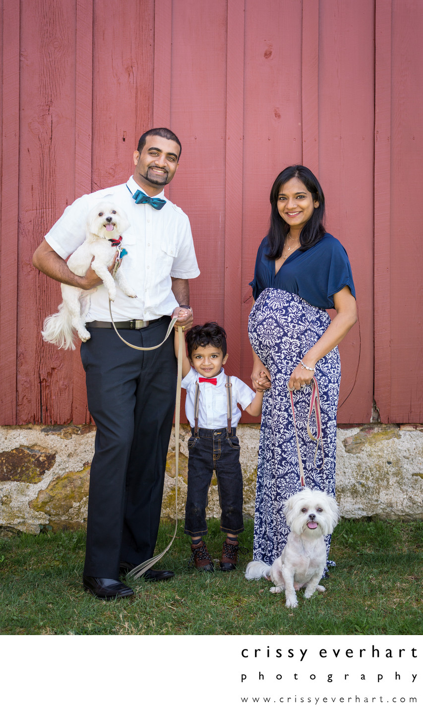 Maternity Family Photos with 2 year old and Dogs