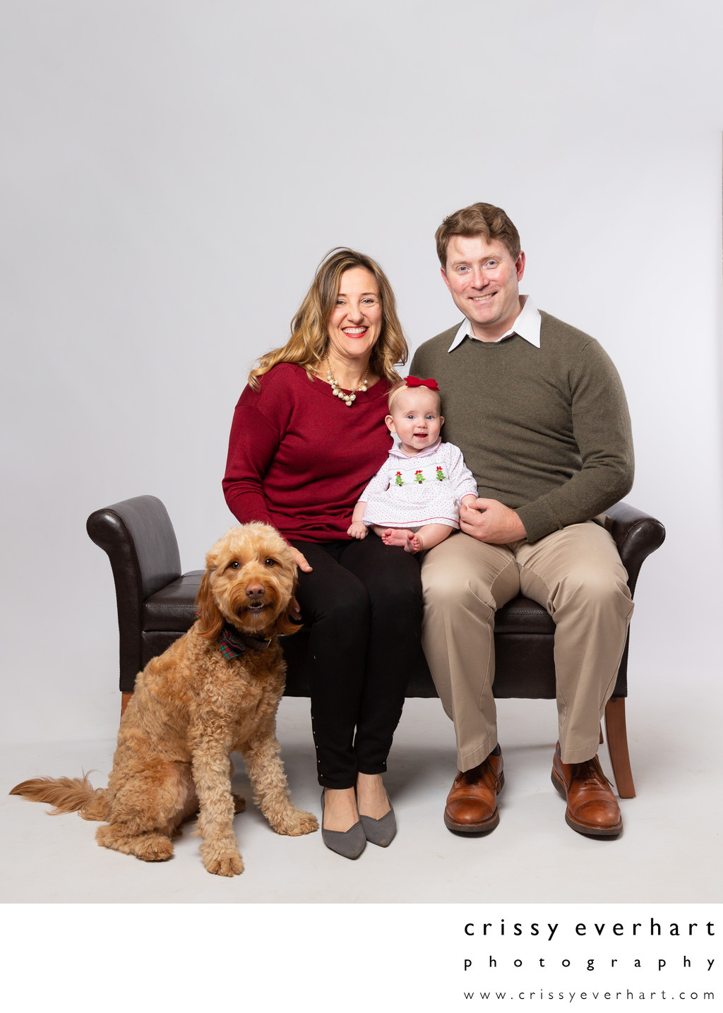 Family Photos with Furry Friends