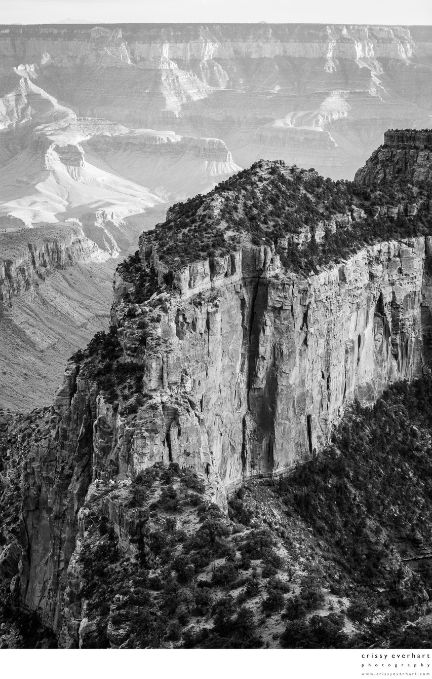 Grand Canyon North Rim Black and White Photography