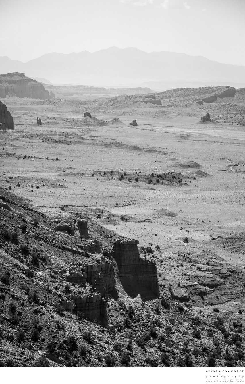 Desolation - Canyonlands National Park Fine Art