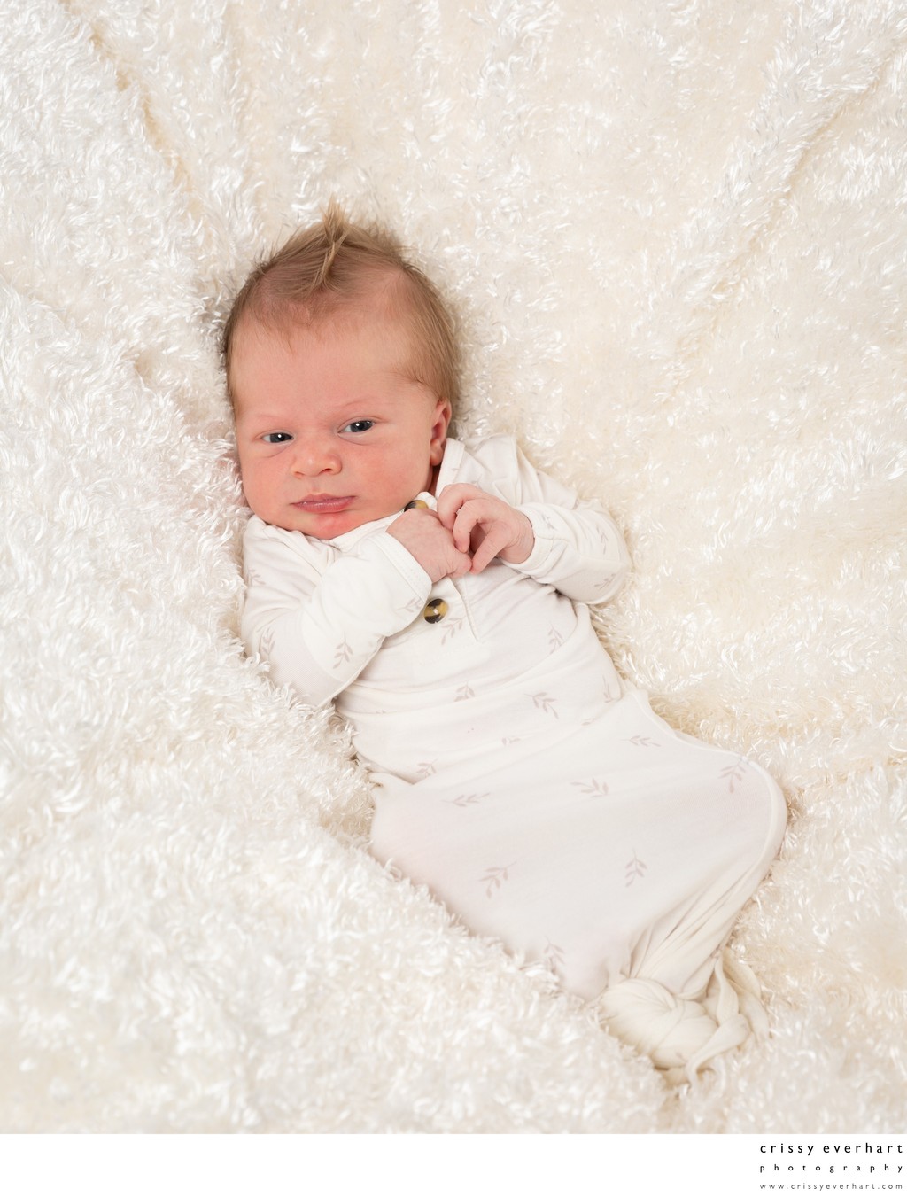 Newborn Photography in Chester County