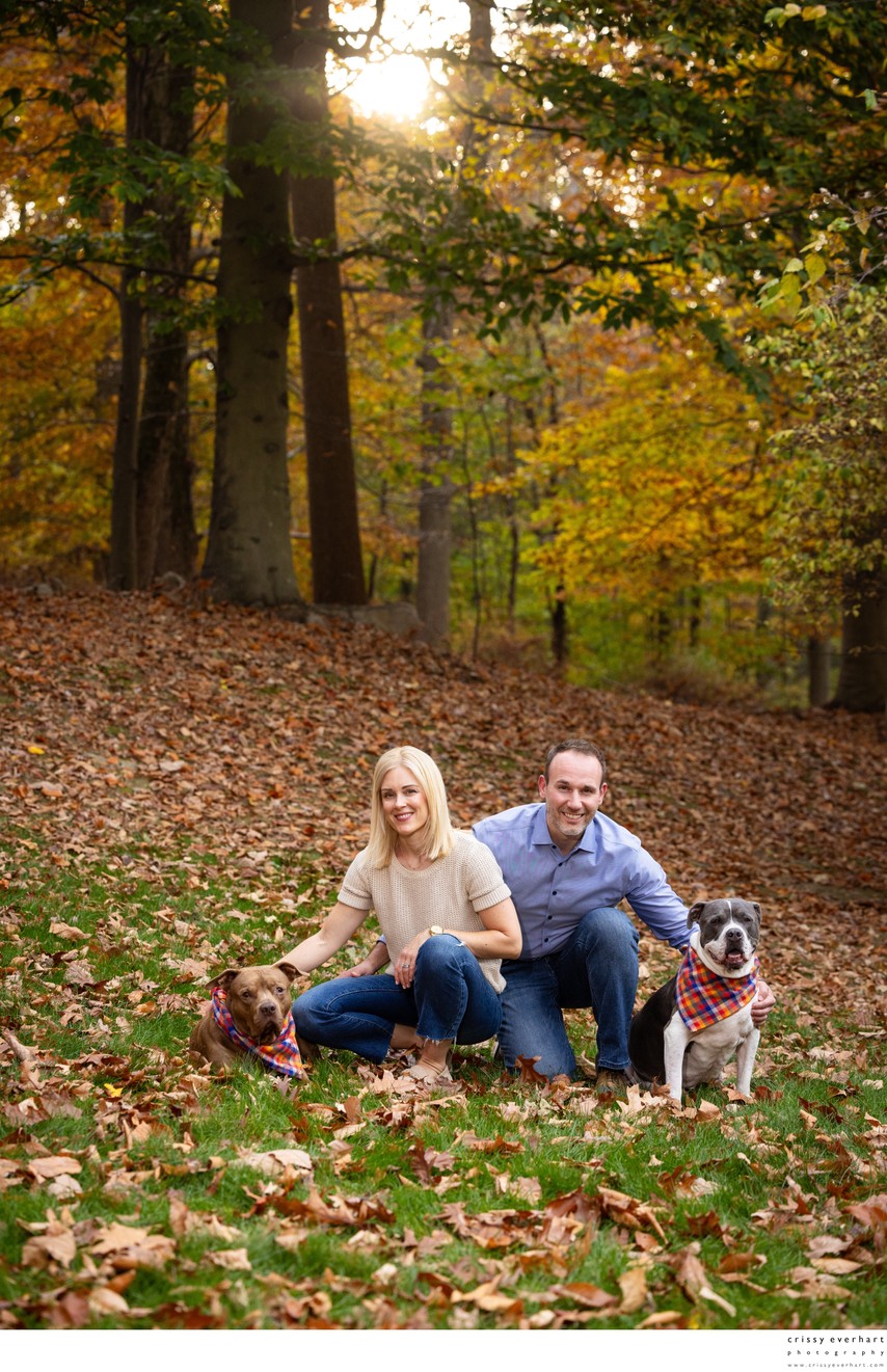 When Your Dogs Are Your Kids, They're In Pictures!