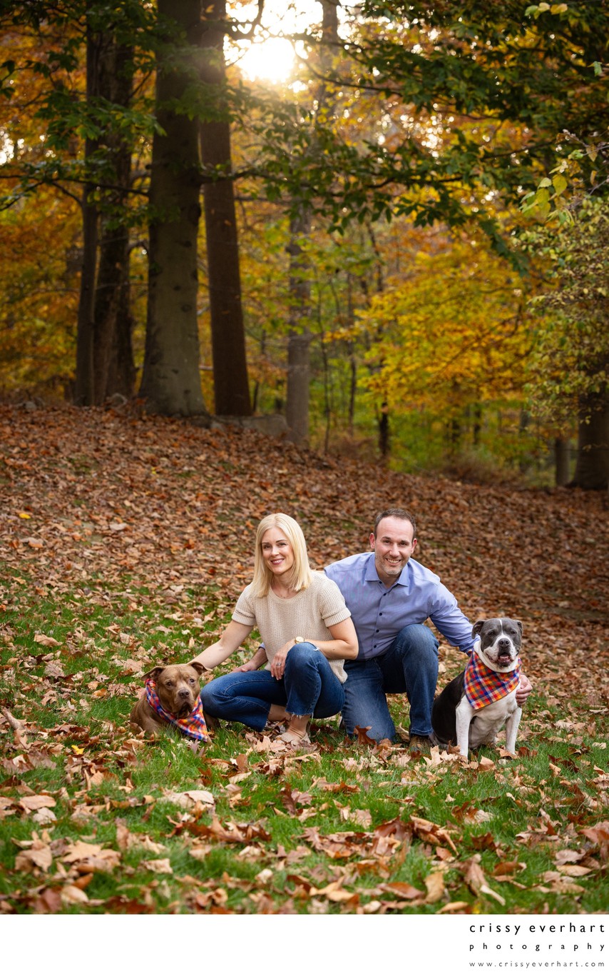 When Your Dogs Are Your Kids, They're In Pictures!
