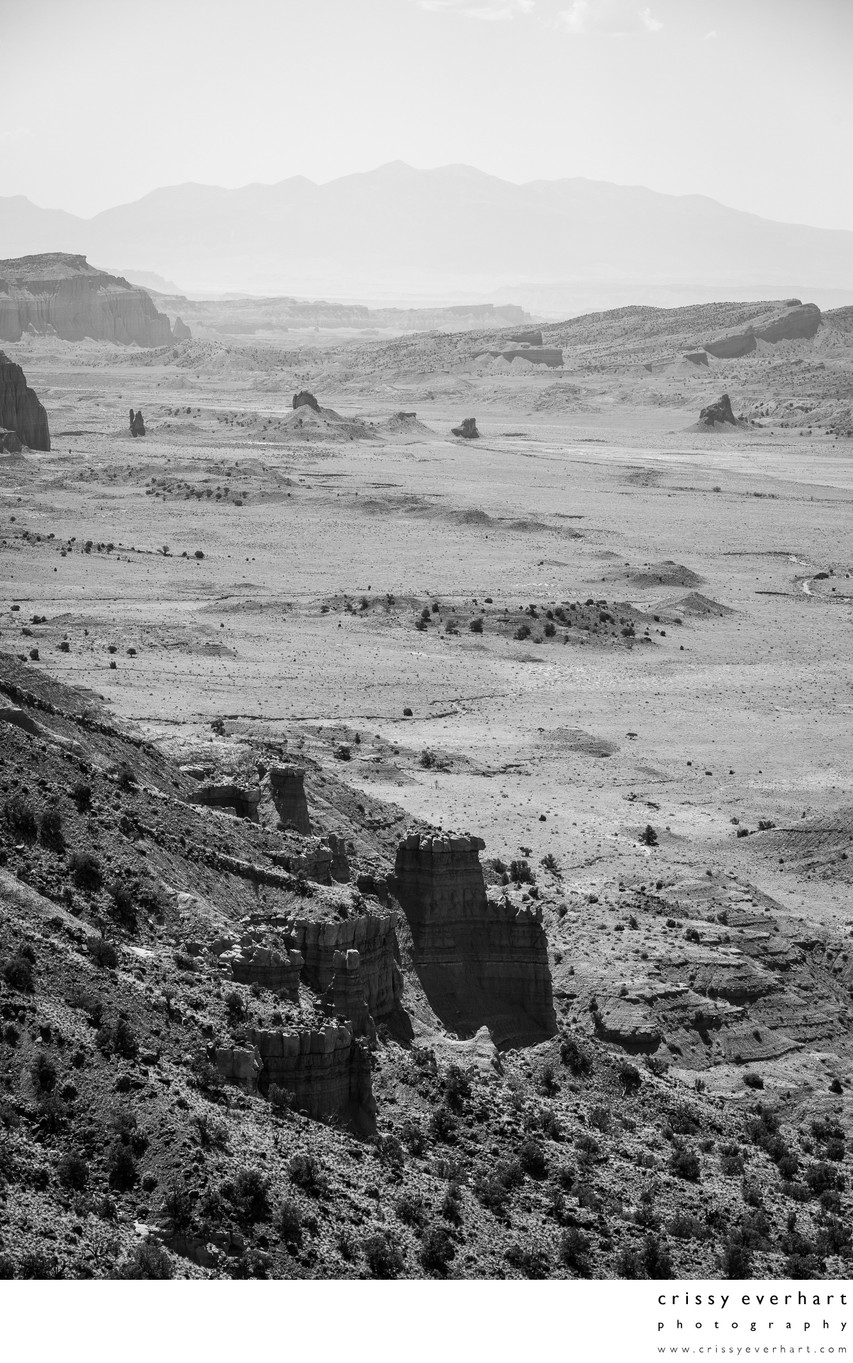 Desolation - Canyonlands National Park Fine Art