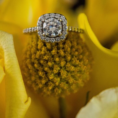 Philadelphia Wedding Photography - Engagement Ring