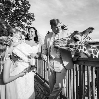 Elmwood Park Zoo Wedding - Feeding Giraffes