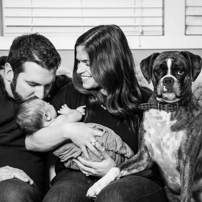 In Home Newborn Photos with Dog