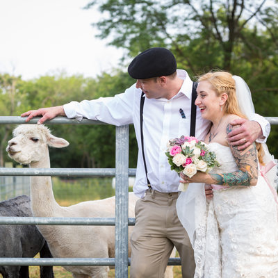 Queens County Farm Wedding with Alpacas