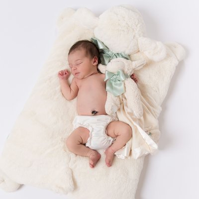 Sleeping Baby on Stuffed Lamb Blanket