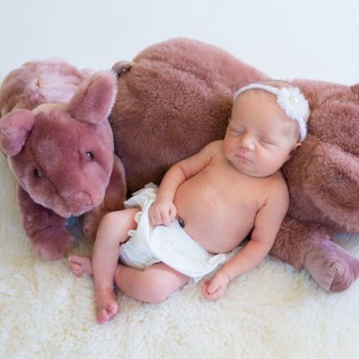Paoli Newborn Photographer - Girl with Stuffed Animals