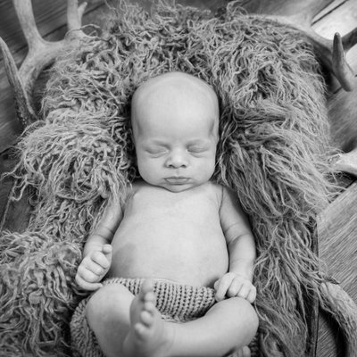 Child of Hunter Asleep Amongst Deer Antlers