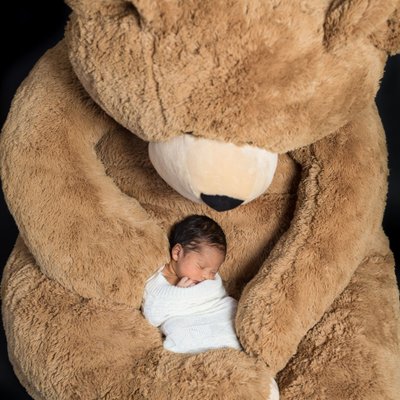 Newborn Photos- Boy Asleep in Oversized Teddy Bear