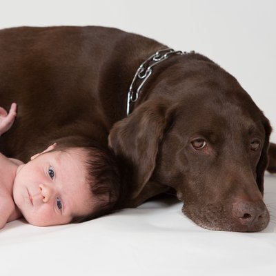 Newborn with Pet Photographer - Baby Boy with Dog