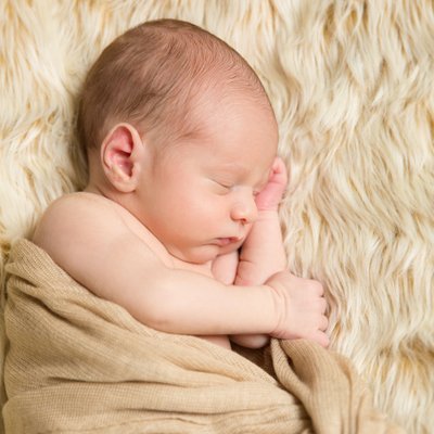 Sleeping Baby on Fuzzy Blanket - Newborn Portraits