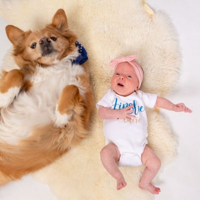 Dog and Newborn Baby