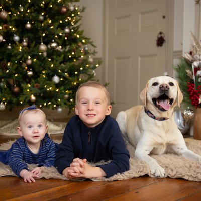 Kids and Dog in Front of Christmas Tree