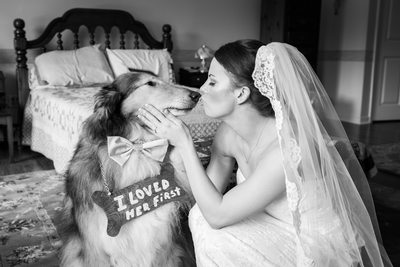 Bride Kissing Dog with 