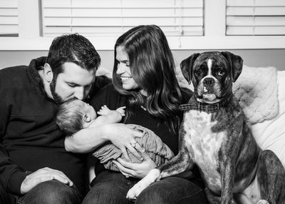 In Home Newborn Photos with Dog