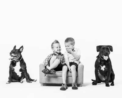 Giggling Brothers with Dogs