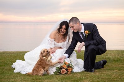 Wedding Portraits with Dog