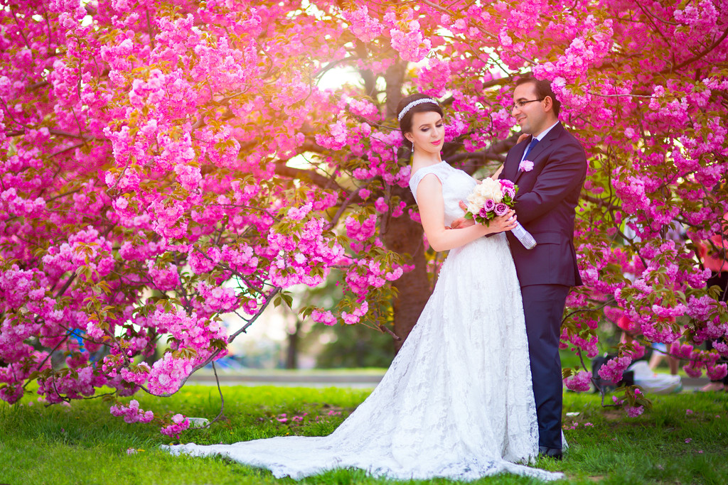 Washington DC Cherry Blossoms Wedding Photos