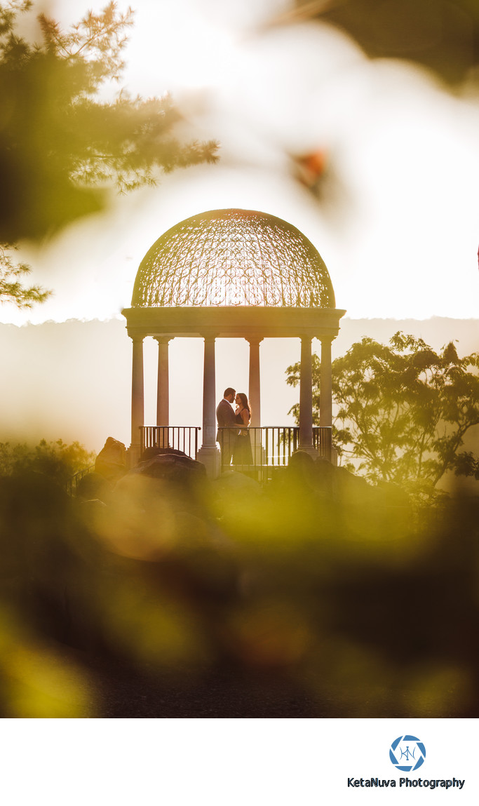 Alder Manor Wedding Photography New York (NYC) & NJ Wedding