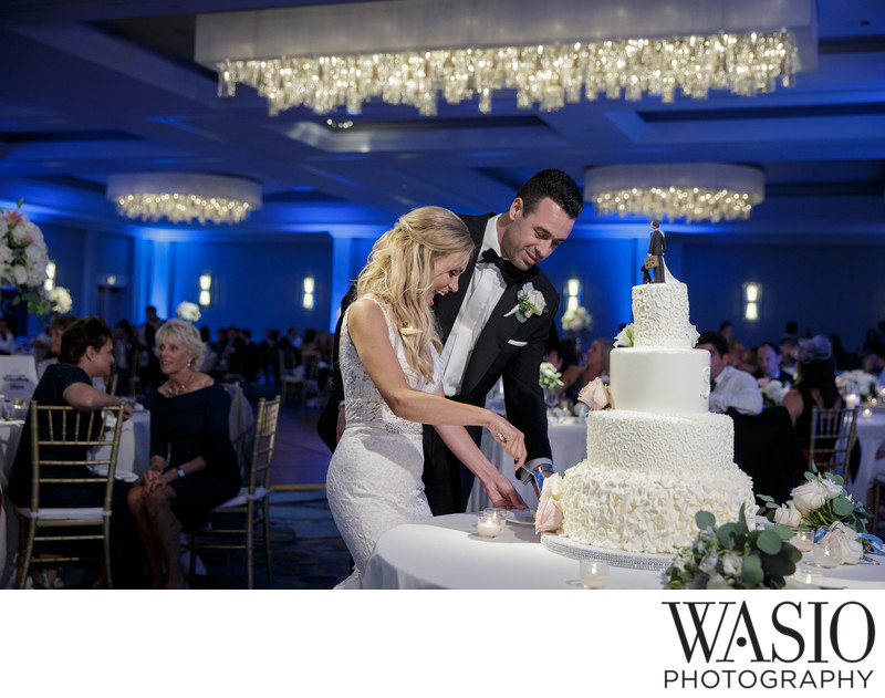 Wedding Cake Cutting Song Ideas - A Perfect Blend Entertainment