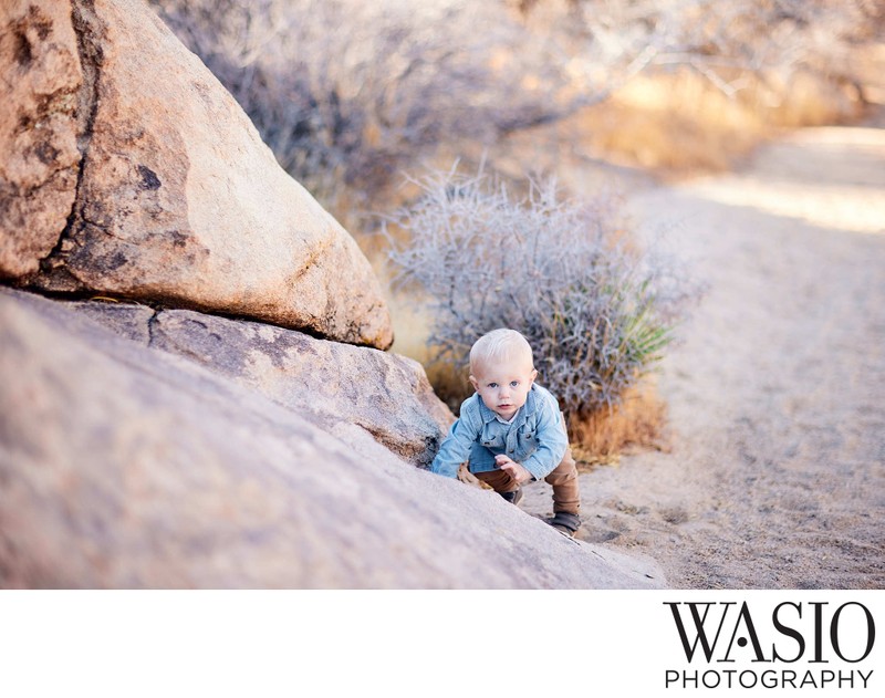 Joshua Tree National Park Rock Climbing