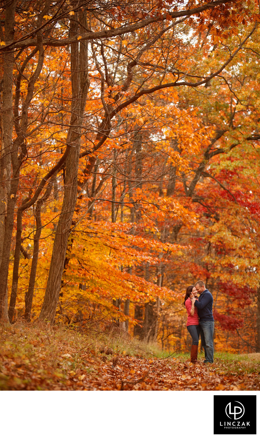 fall cleveland engagement session