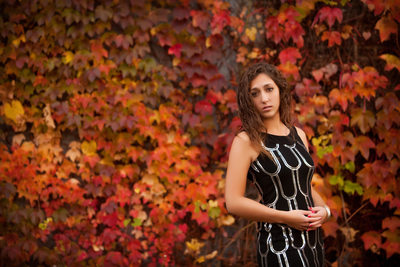 fall background photo