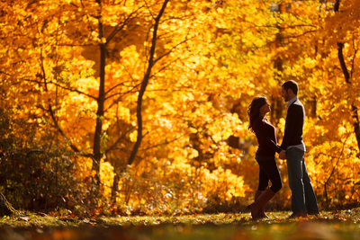 fall inspired engagement session