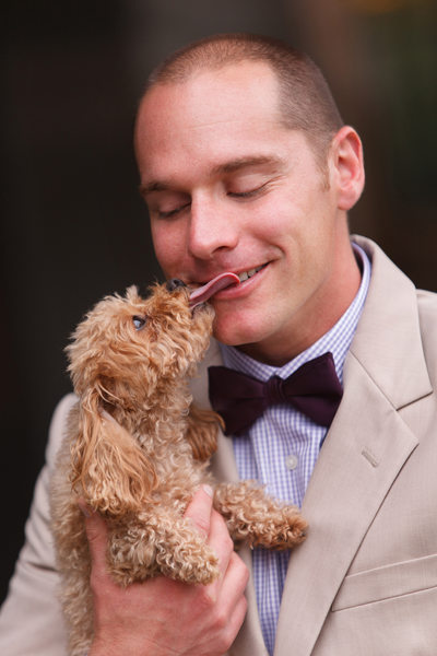 dog and groom wedding photo