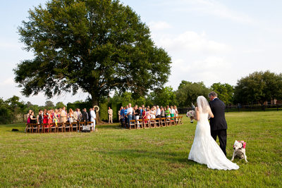 Top Houston Wedding Photographer-HOMEPAGE