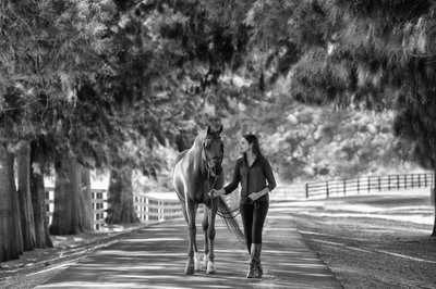 high school a girl and her horse