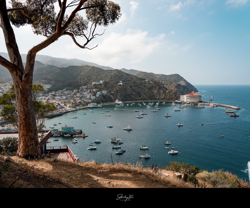 Avalon Bay Vista: Capturing the Essence of Catalina Island's Beauty