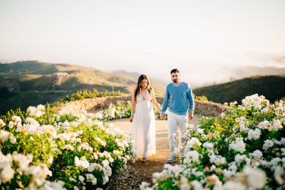 Malibu proposal walk at Stonewall Ranch, flower path