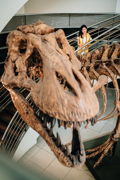 UC Berkeley Grad Beside Towering T-Rex Skeleton