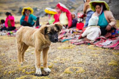 Travel photography Peru's people Colorado photographer