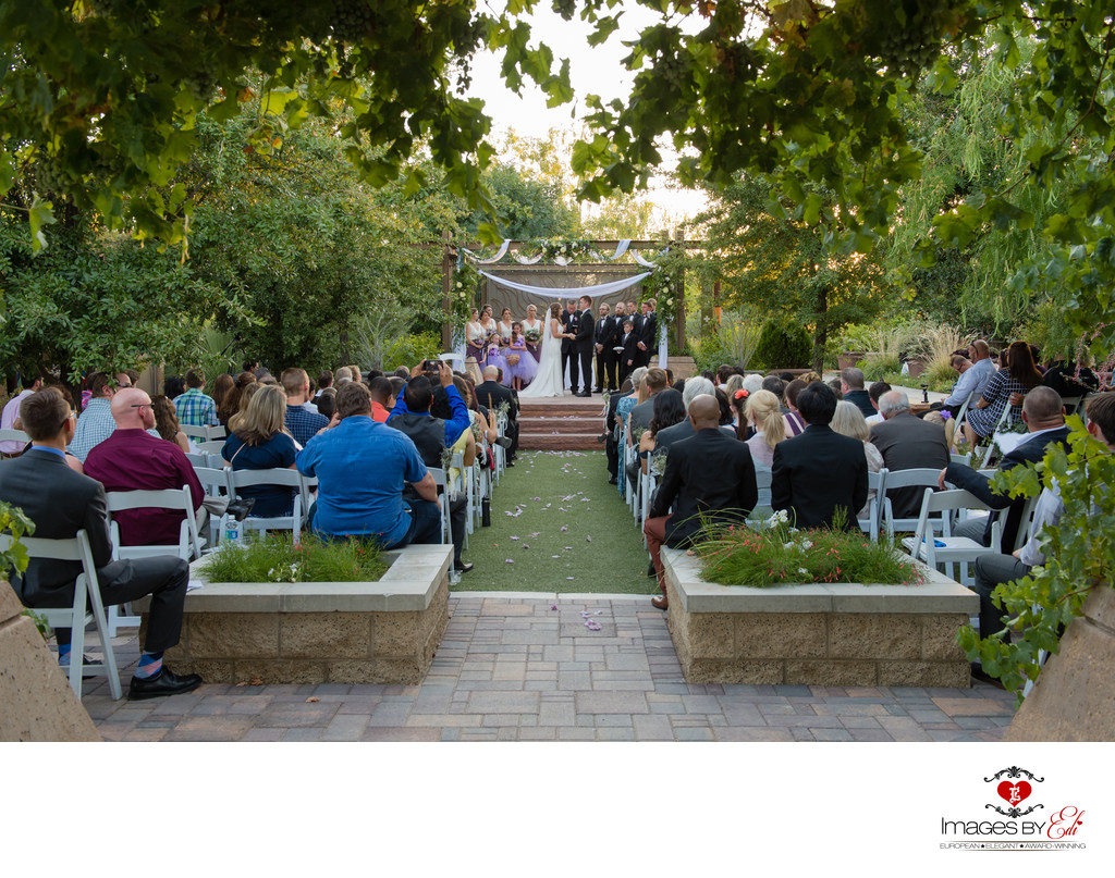 Outdoor Wedding ceremony at Springs Preserve 
