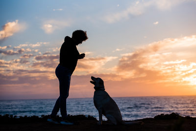 Sunset Photo of lab mix girl with her mom at second sunset on the beach  | Las Vegas Pet Photographer | San Diego Pet Photography session | Images By EDI 