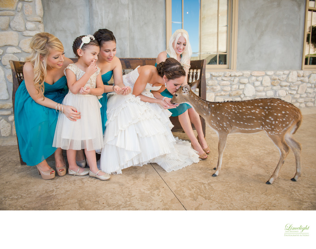 Hill Country Weddings