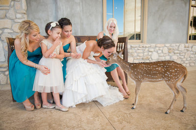 Hill Country Weddings