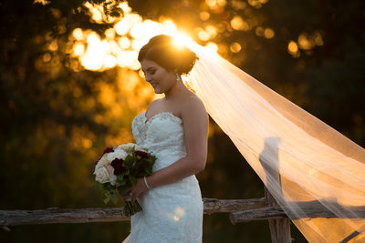 Sunset Bridal Portrait