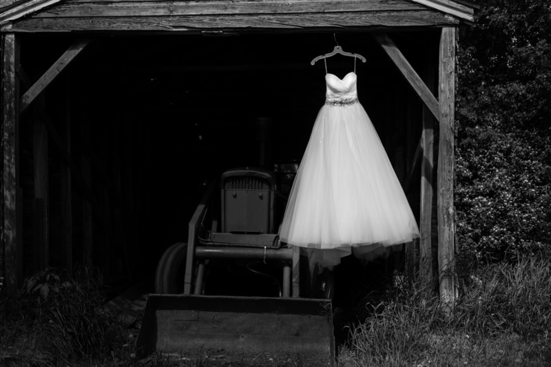 Edmonton Covid 19 Wedding Photographer 