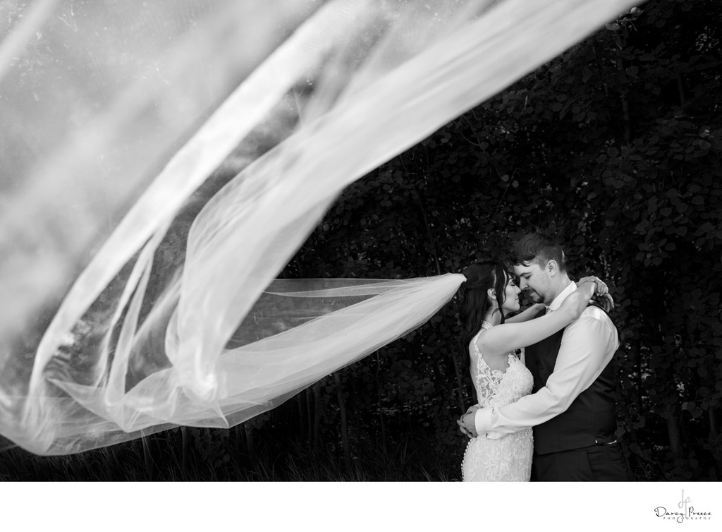Edmonton Love Story: Wedding Photography At It's Best