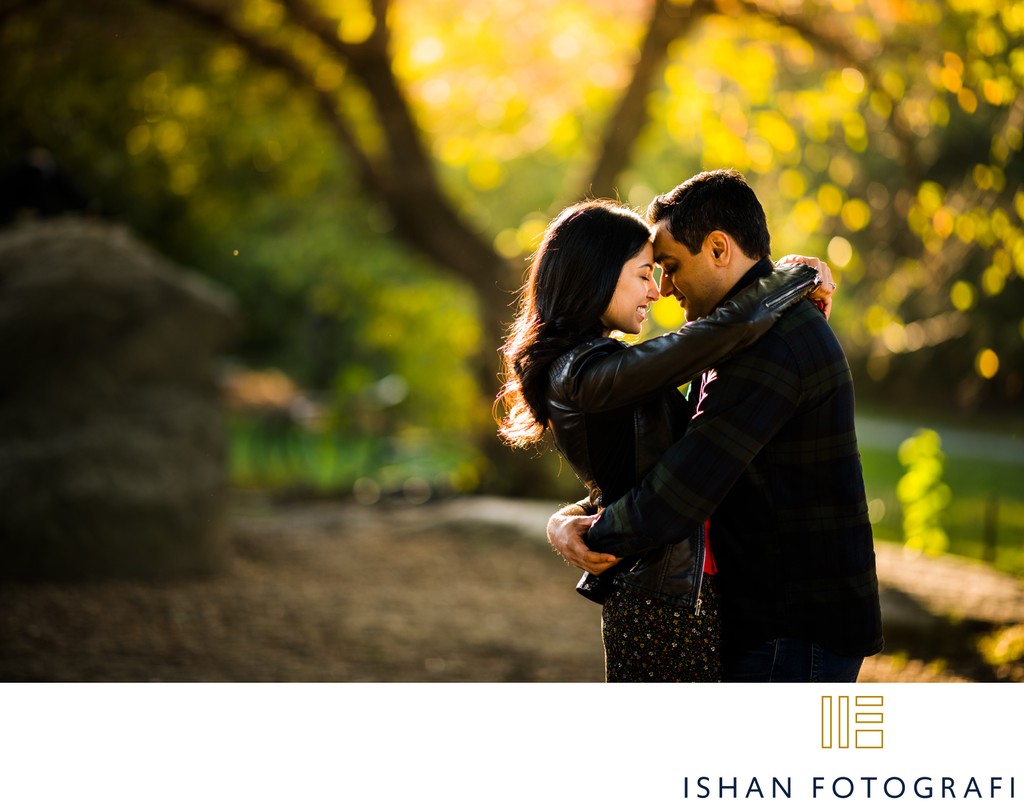 Fall Engagement Pictures Central Park