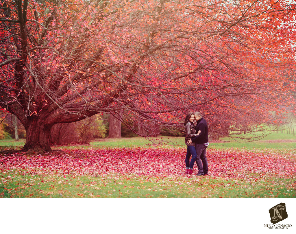 Romantic Autumn at New Jersey Botanical Garden