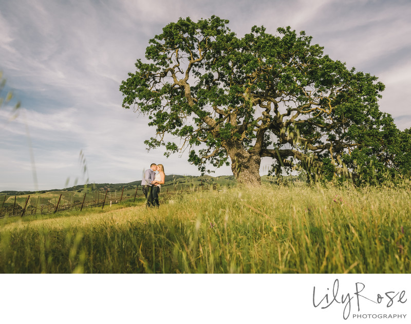 Napa Wedding and Engagement Photographer Meritage