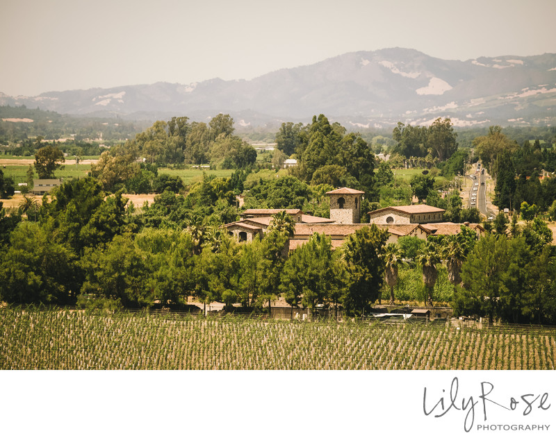 Wedding Venue Jacuzzi Family Vineyards